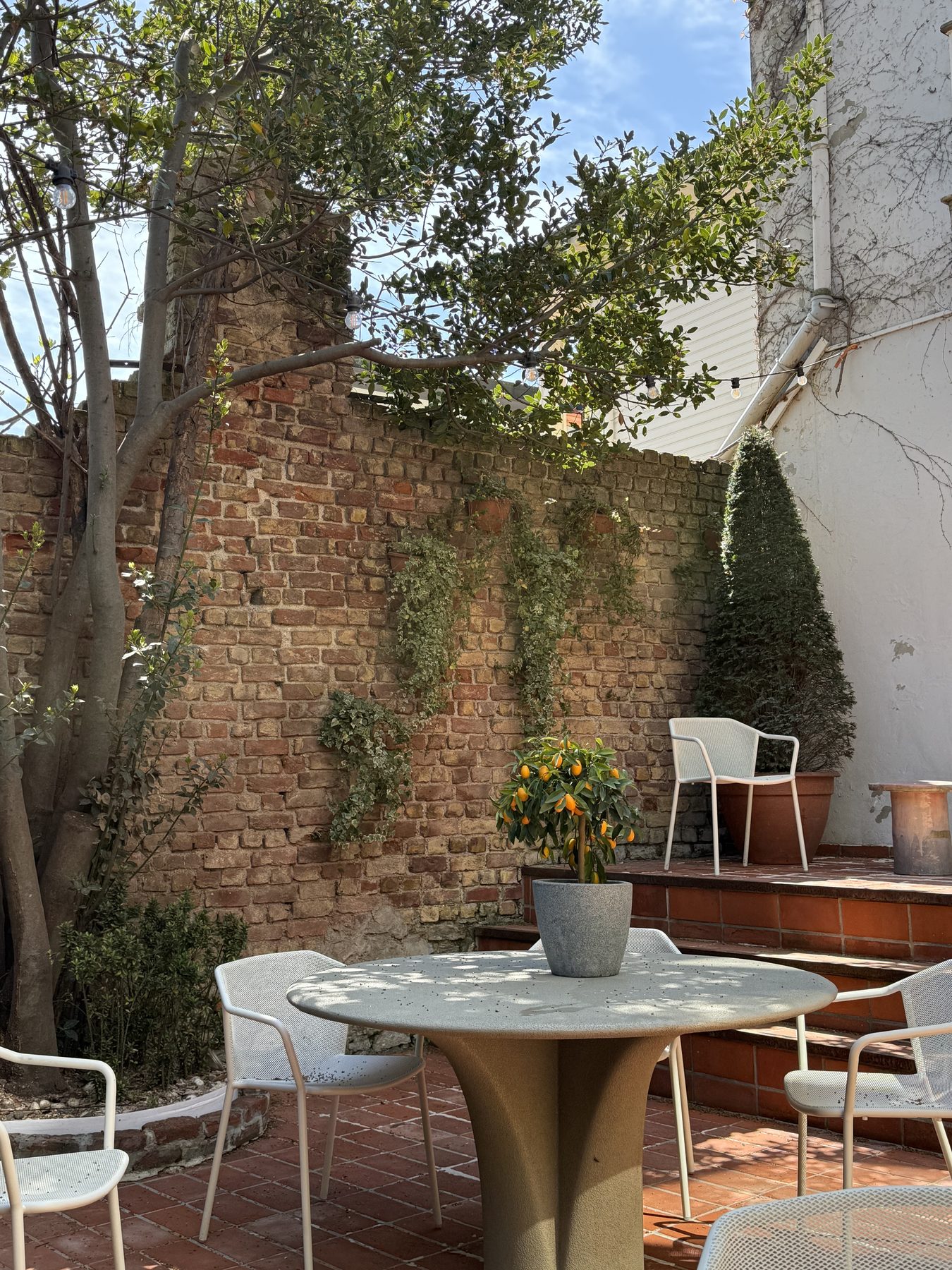 The garden table under the tree
